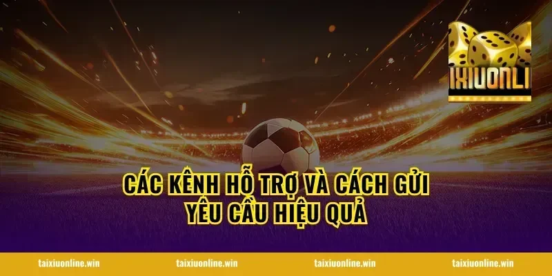 Các kênh hỗ trợ và cách gửi yêu cầu hiệu quả