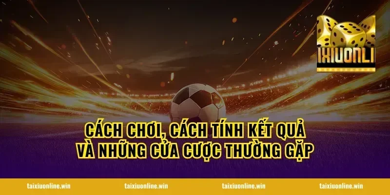 Cách chơi, cách tính kết quả và những cửa cược thường gặp